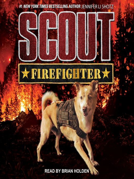 Title details for Firefighter by Jennifer Li Shotz - Available